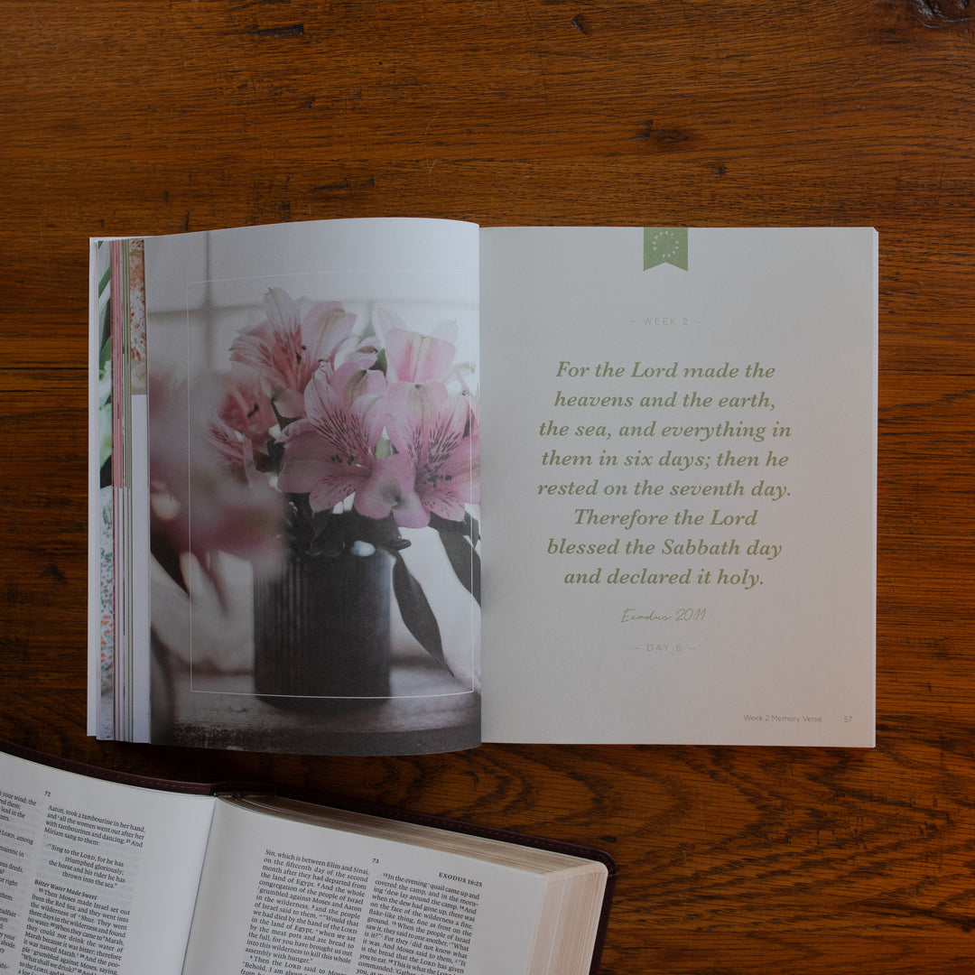 The Rest Matte study opened to the devotional page on a wooden desk near an open bible