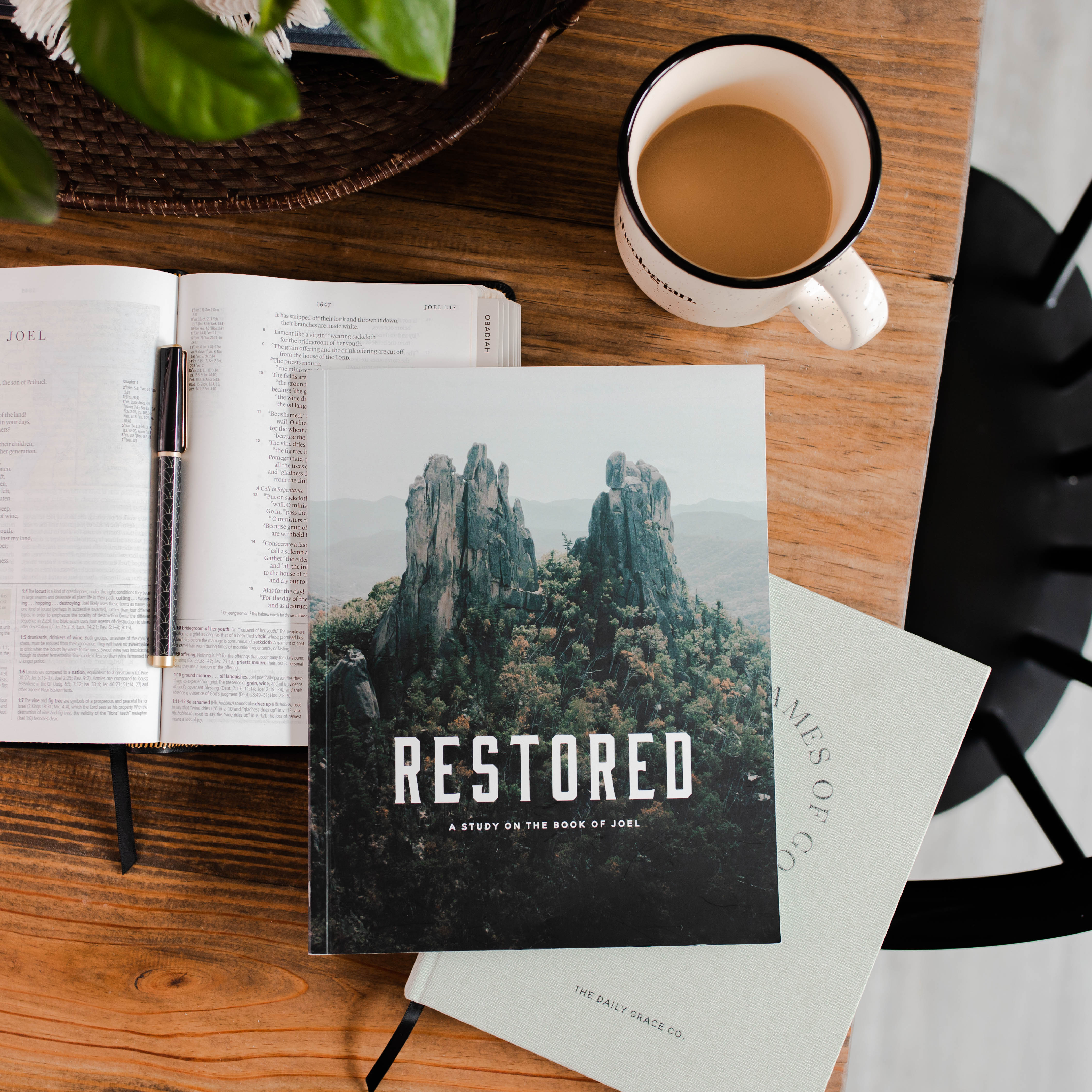 Men's Study Men's Studies – The Daily Grace Co.
