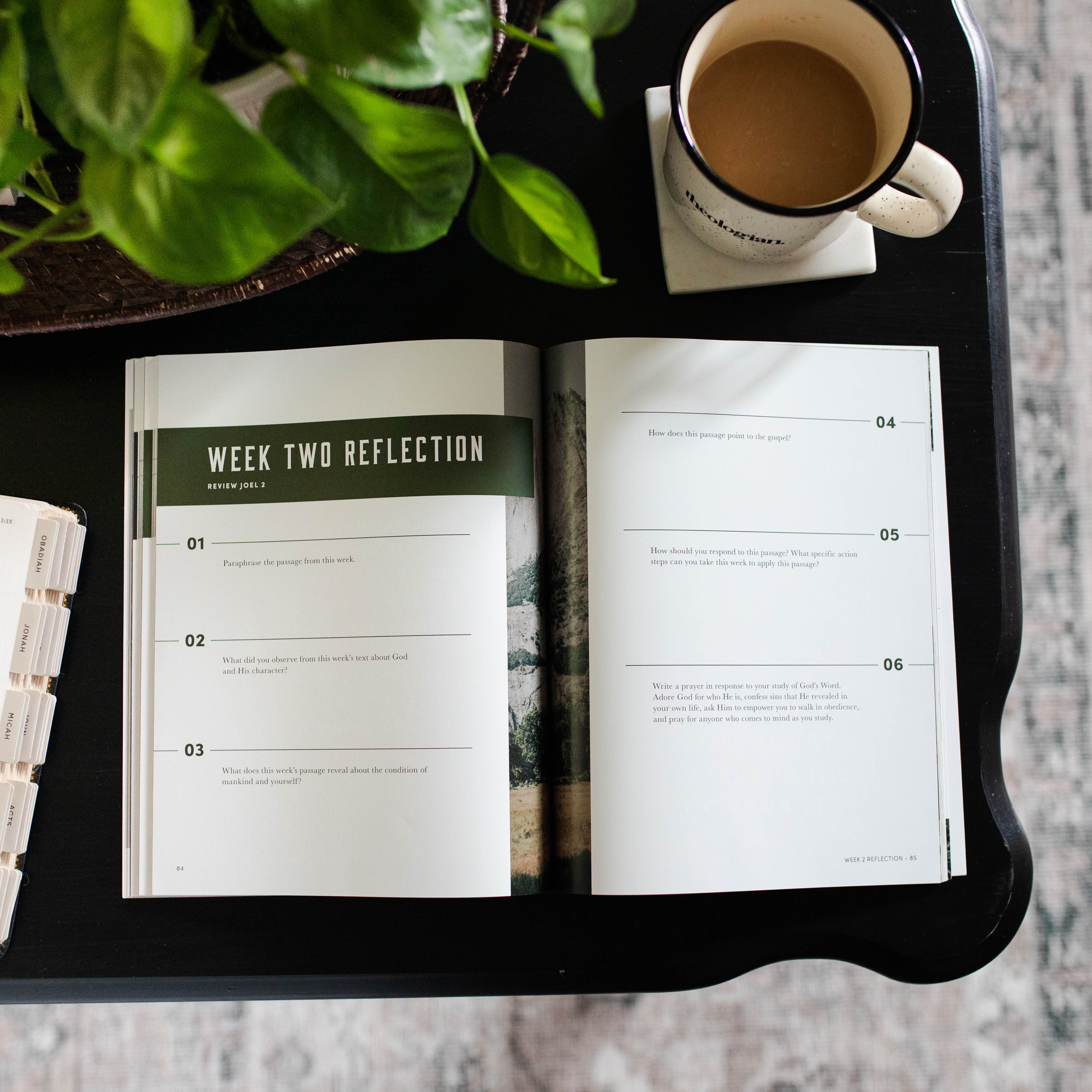 Men's Study Men's Studies – The Daily Grace Co.