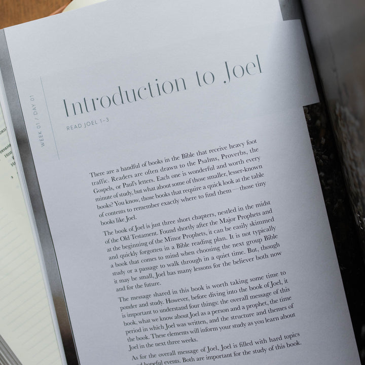 Restored | A Study on the Book of Joel | Matte Study