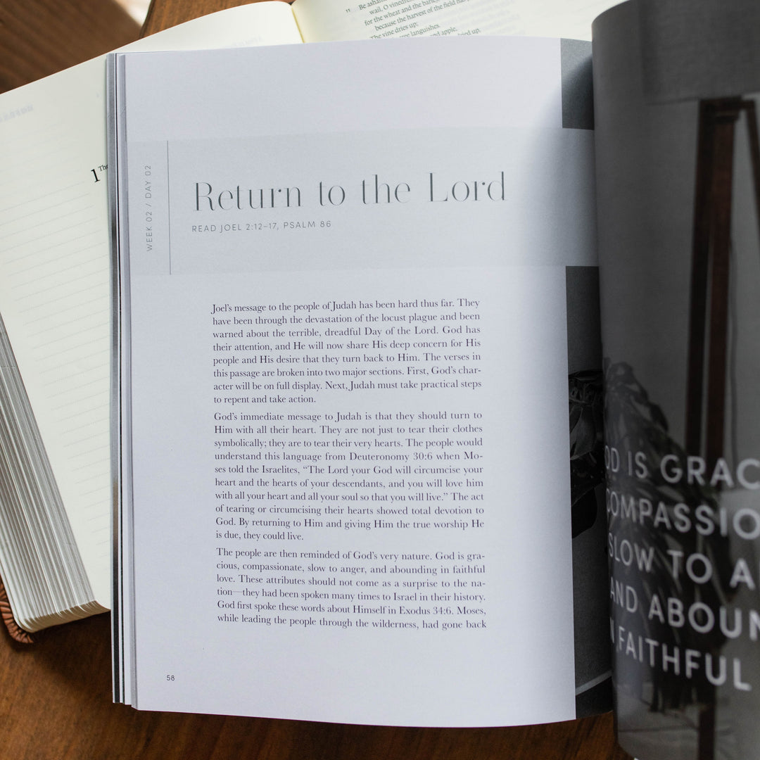 Restored | A Study on the Book of Joel | Matte Study