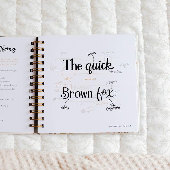 Scripture Workbook | The Daily Grace Co.