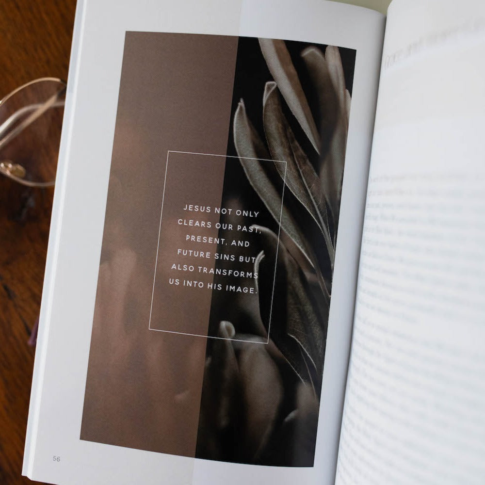 Sexuality in Singleness Booklet | TDGC