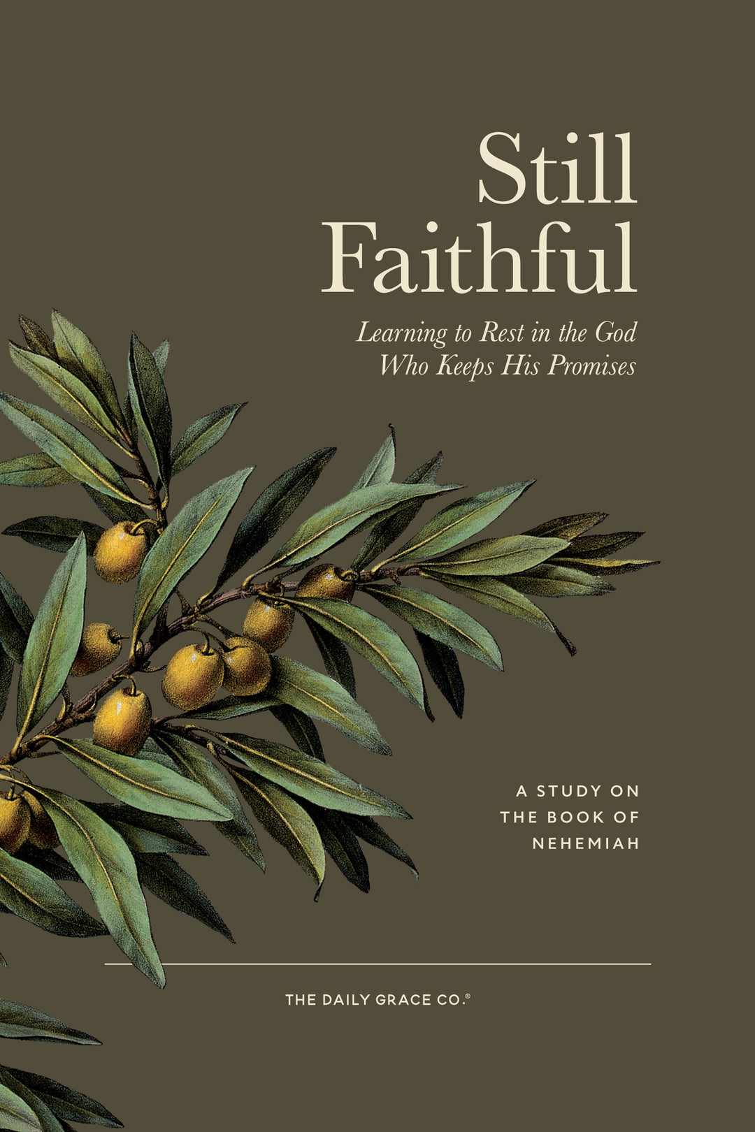 A green book cover with the words 'Still Faithful' by The Daily Grace Co with a branch with olives on it
