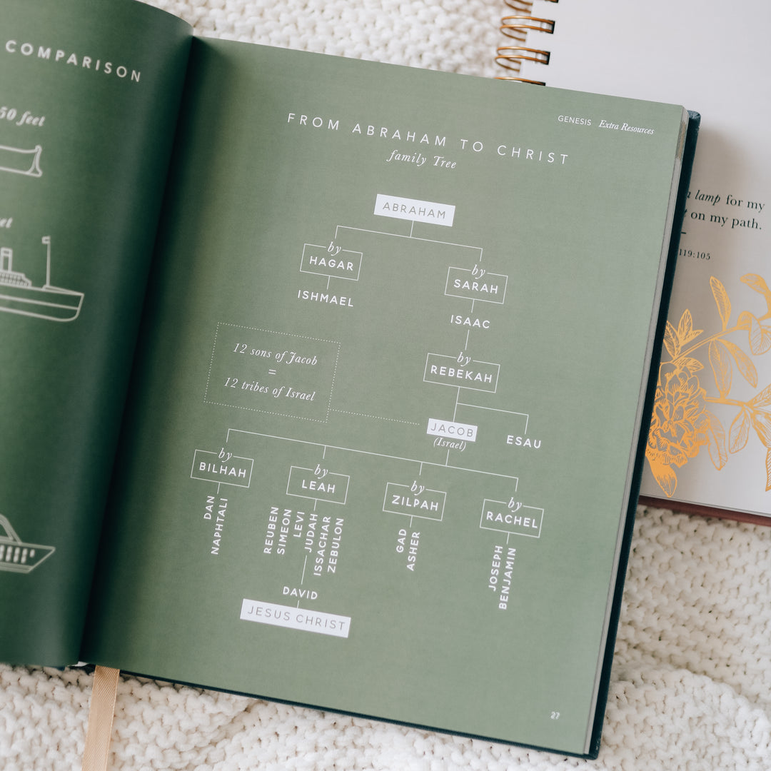 The Bible Handbook