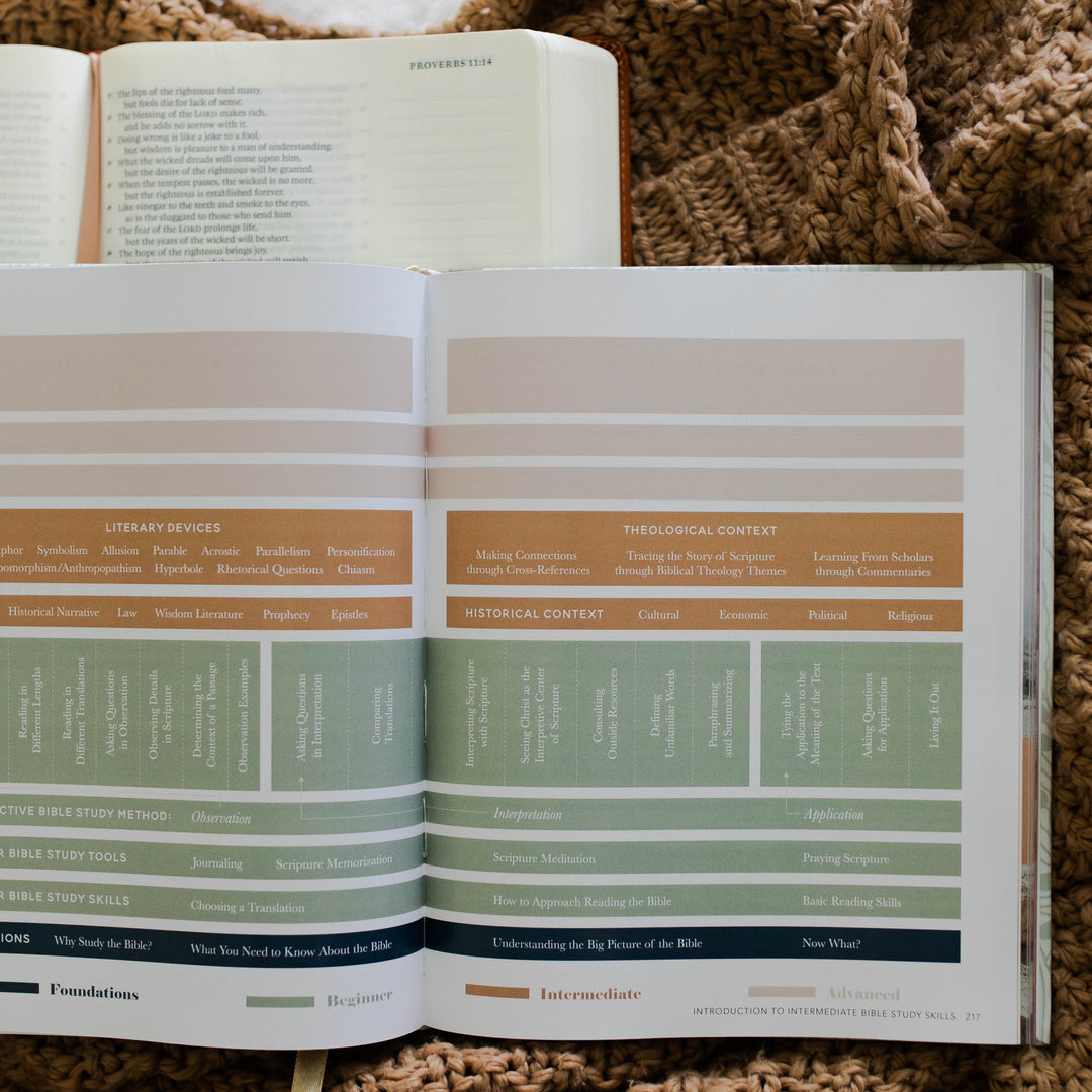 Different levels of Bible study in The Bible Study Handbook