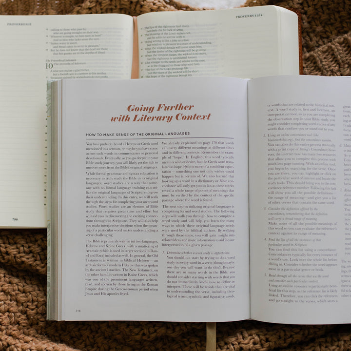 How to go further in literary context in The Bible Study Handbook