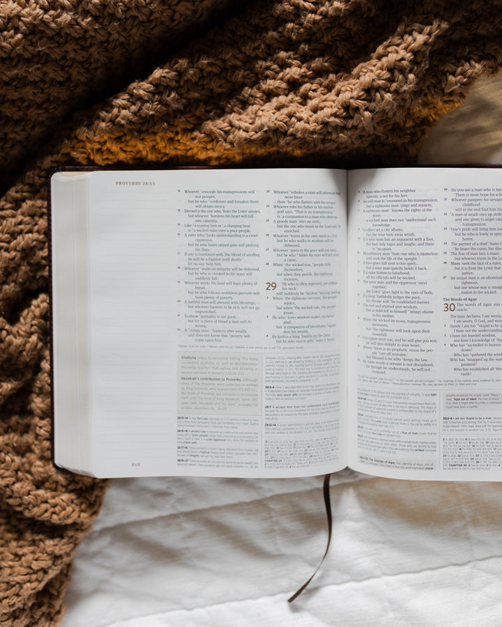 ESV Journaling Study Bible | The Story of Redemption