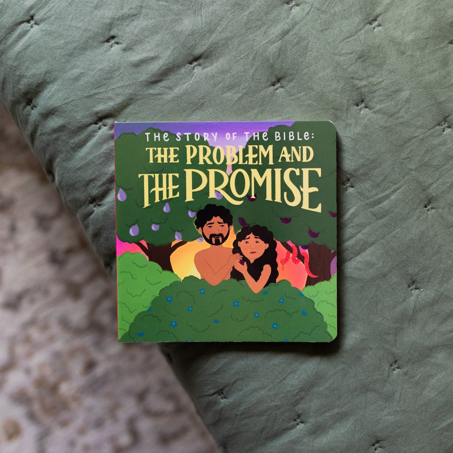 The Story of the Bible The Problem and the Promise Children's Book on a green blanket