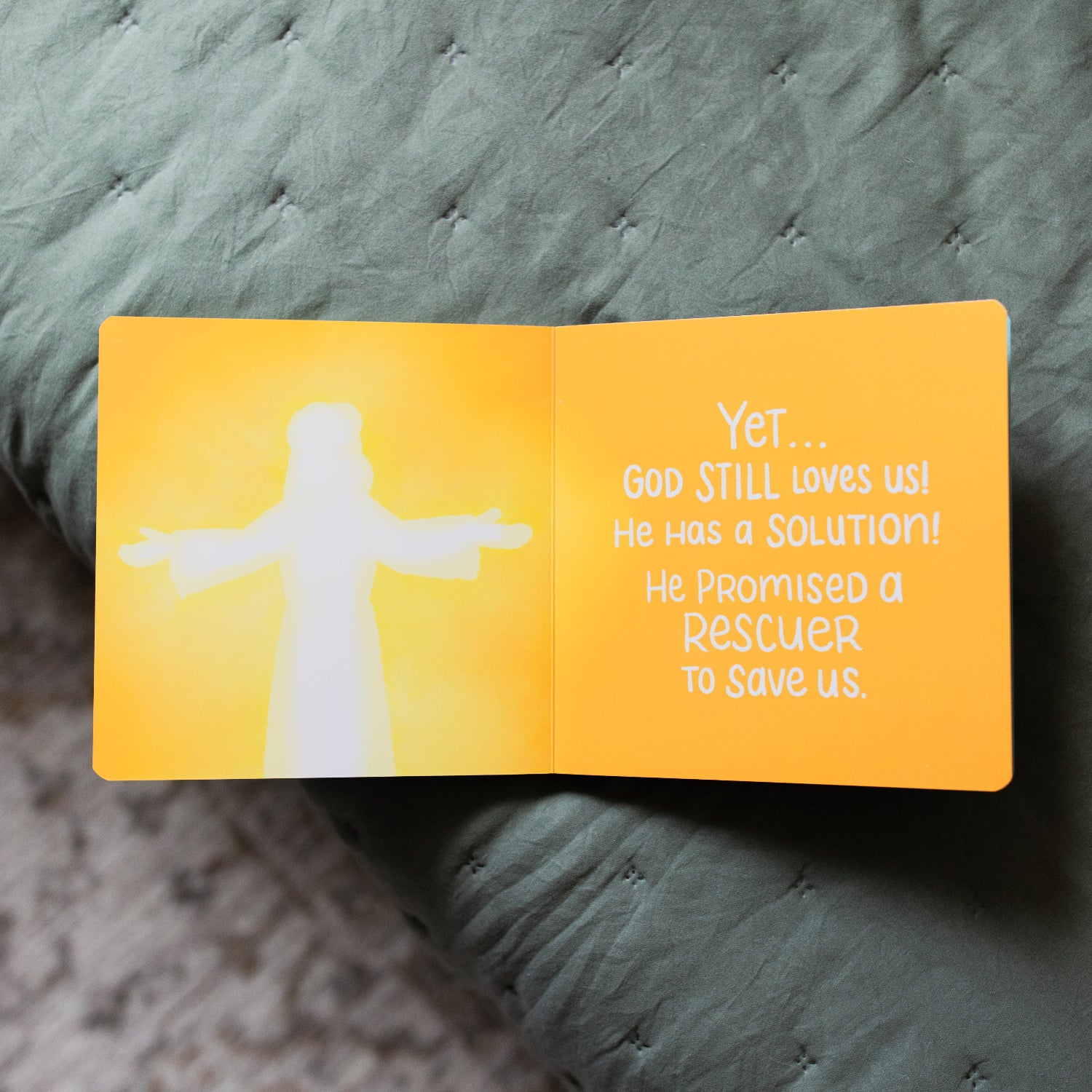 The Story of the Bible: Book 2 | TDGC – The Daily Grace Co.