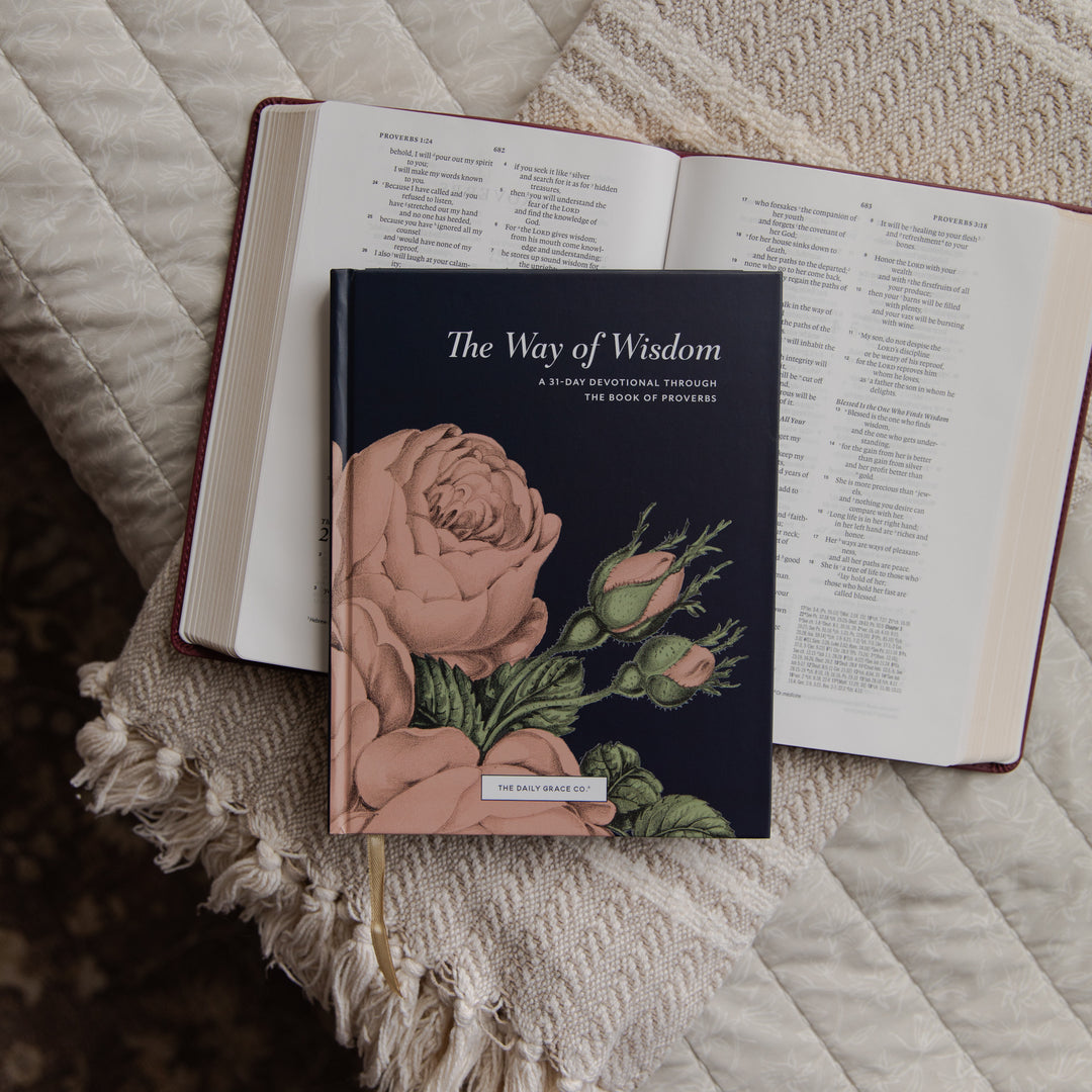 The Way of Wisdom devotional cover on an open bible on a blanket