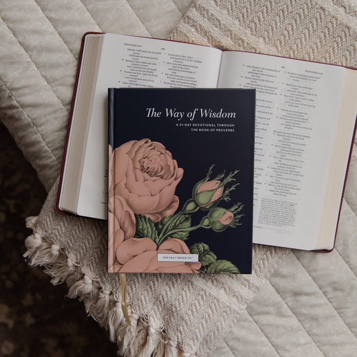 The Way of Wisdom devotional cover on an open bible on a blanket