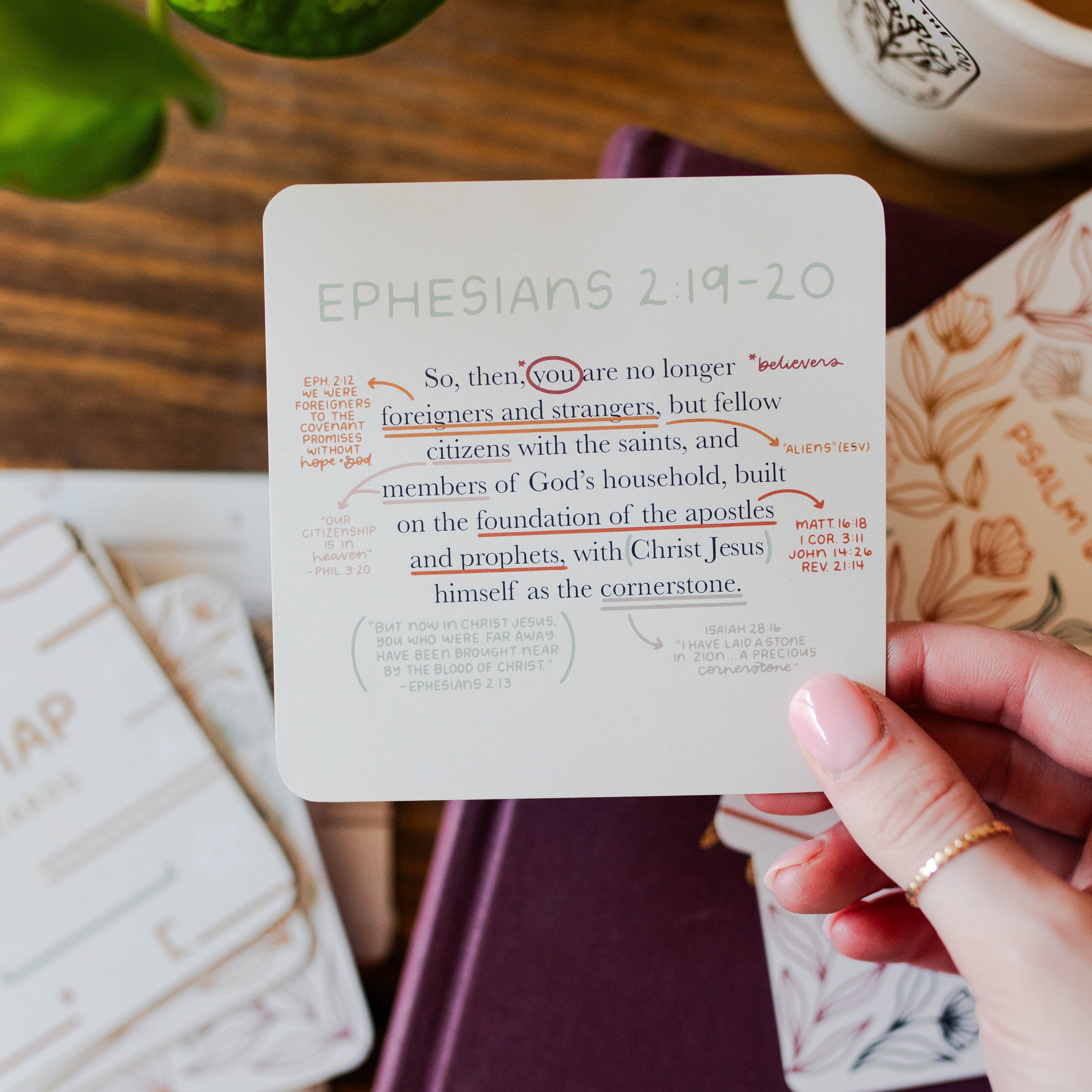 Verse Map Scripture Cards – The Daily Grace Co.