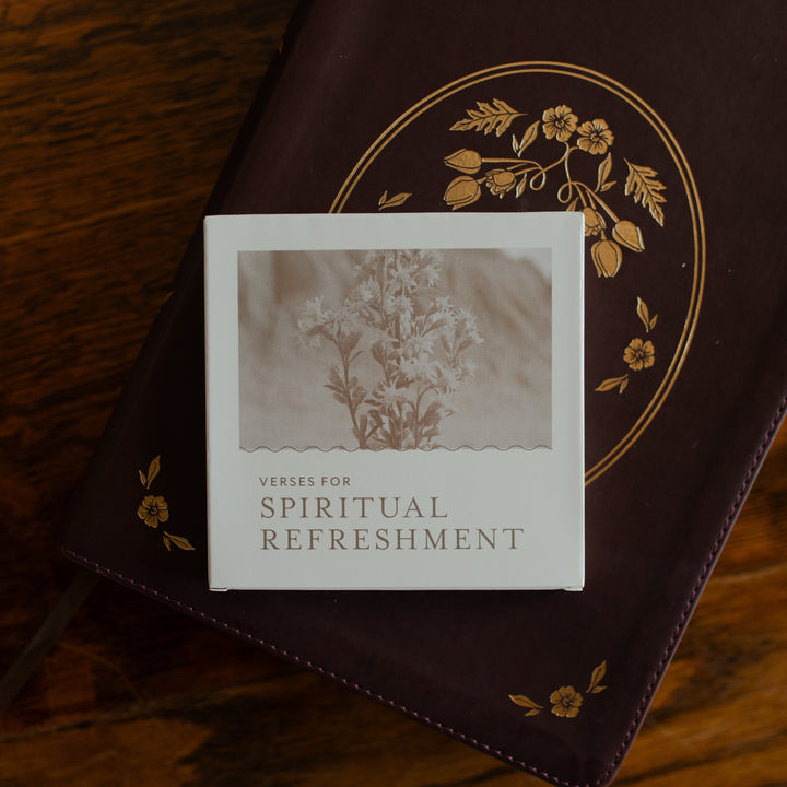 The Verses for Spiritual Refreshment Verse Cards box on a marron colored bible