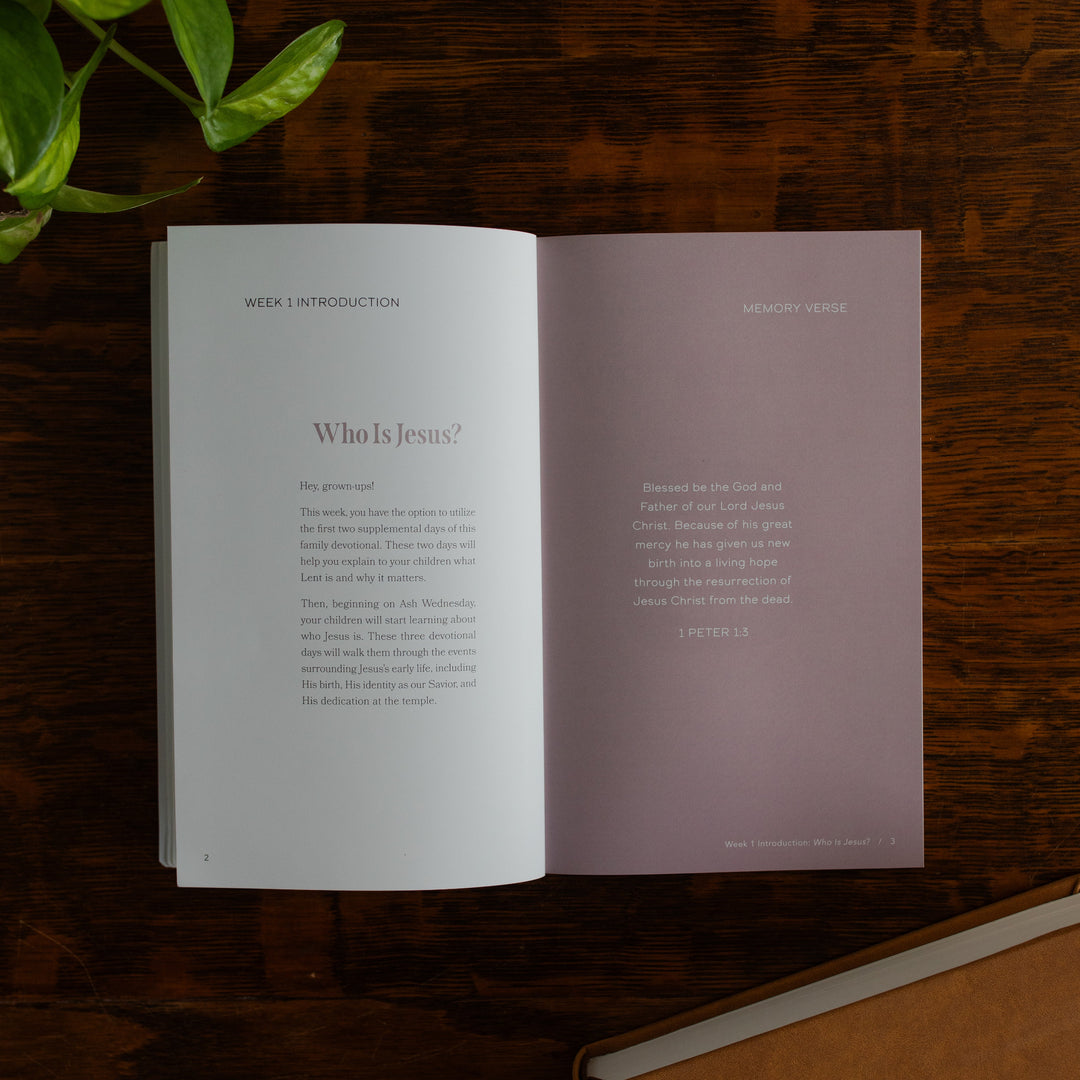 Walking with Jesus Study opened to the Who is Jesus page on a wooden table near some greenery and a closed journal