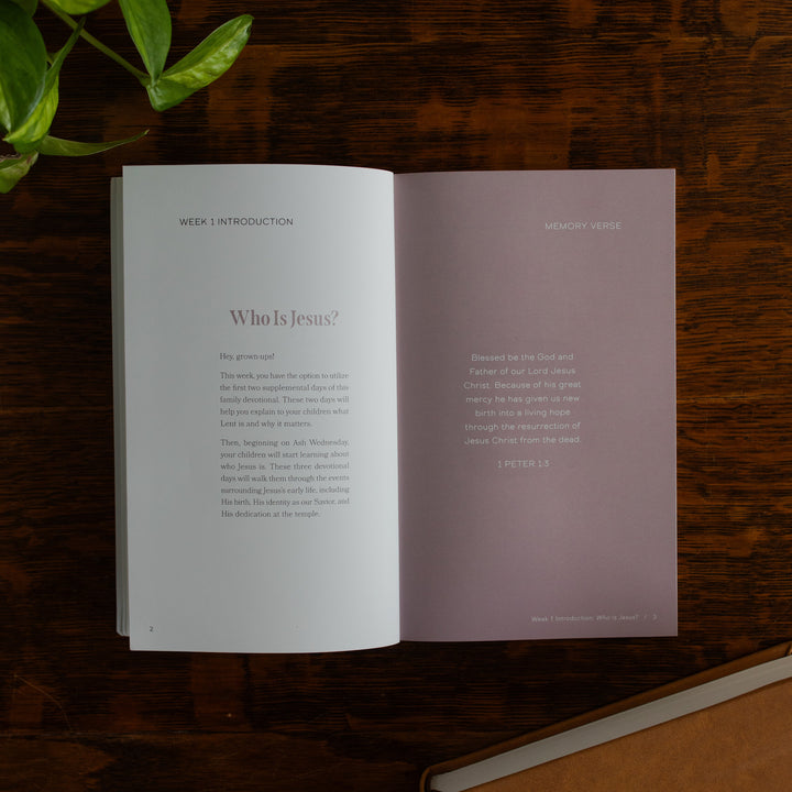 Walking with Jesus Study opened to the Who is Jesus page on a wooden table near some greenery and a closed journal