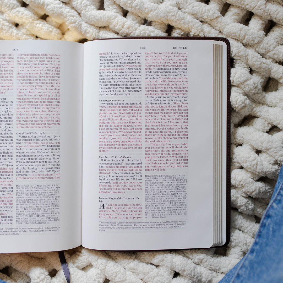 Flatlay of open Bible