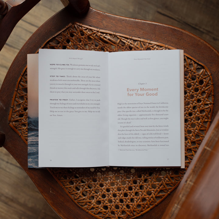 Will I Make It Through hardcover cover on a woven and wooden chair opened to the Every Moment for your Good page