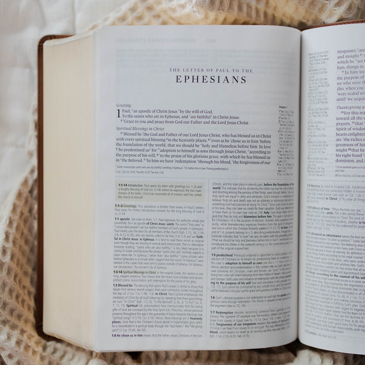 esv sstudy bible from crossway and daily grace