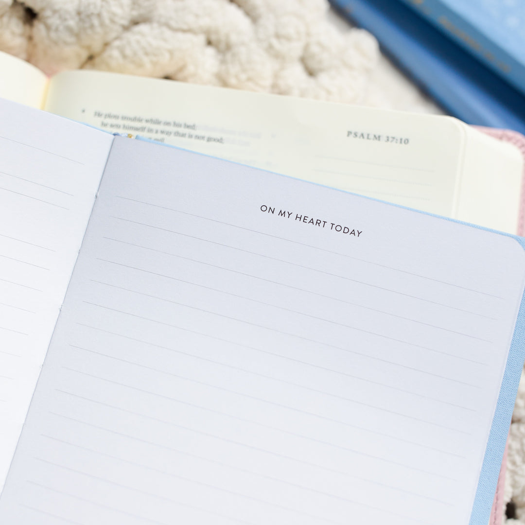 Write the Word® | Psalms Boxed Set