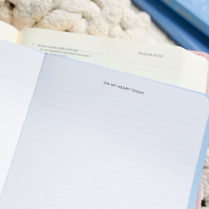 Write the Word® | Psalms Boxed Set