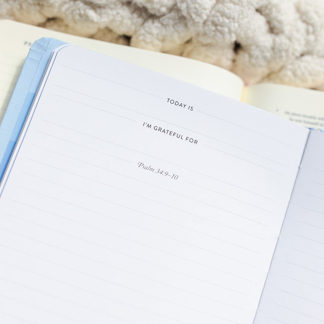 Write the Word® | Psalms Boxed Set