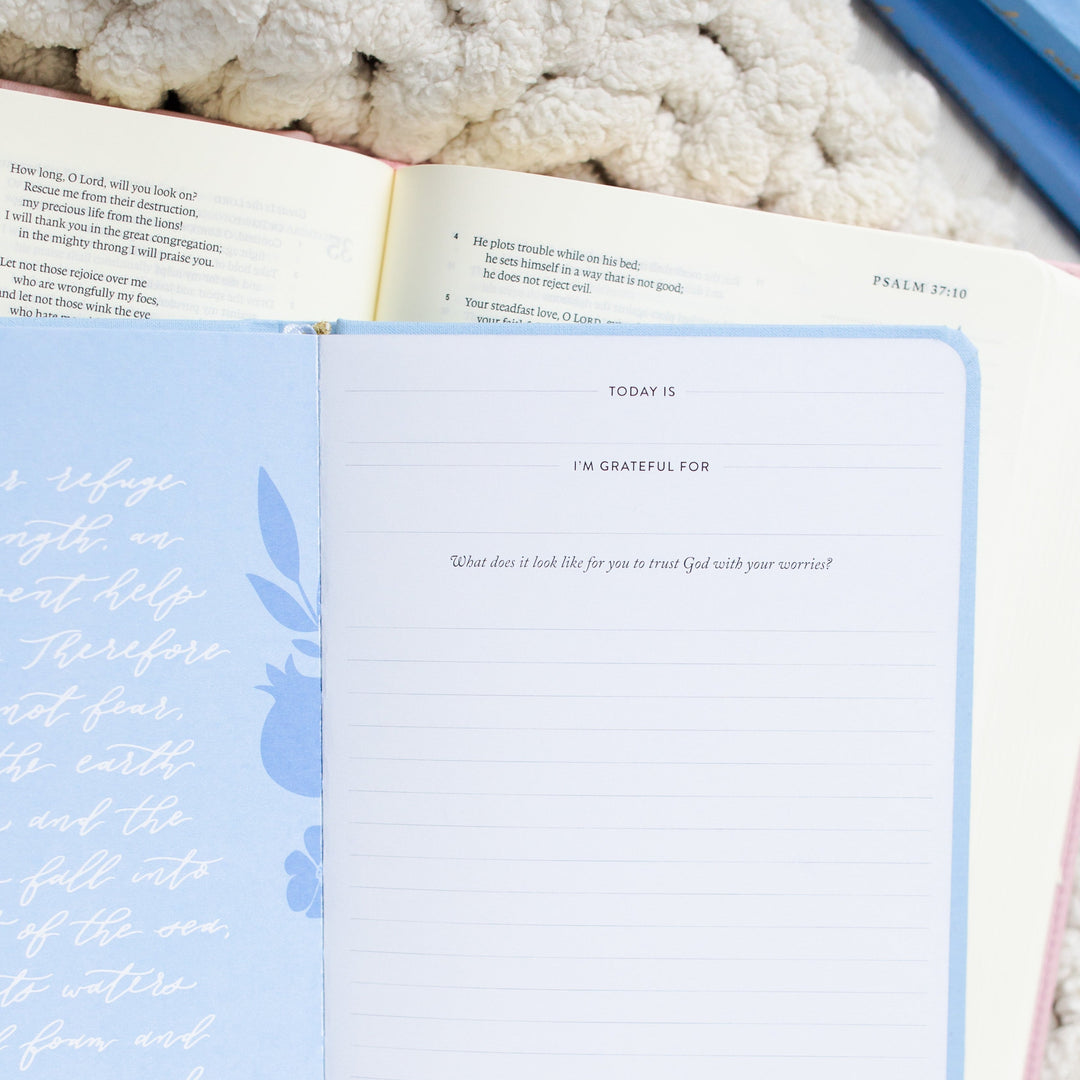 Write the Word® | Psalms Boxed Set