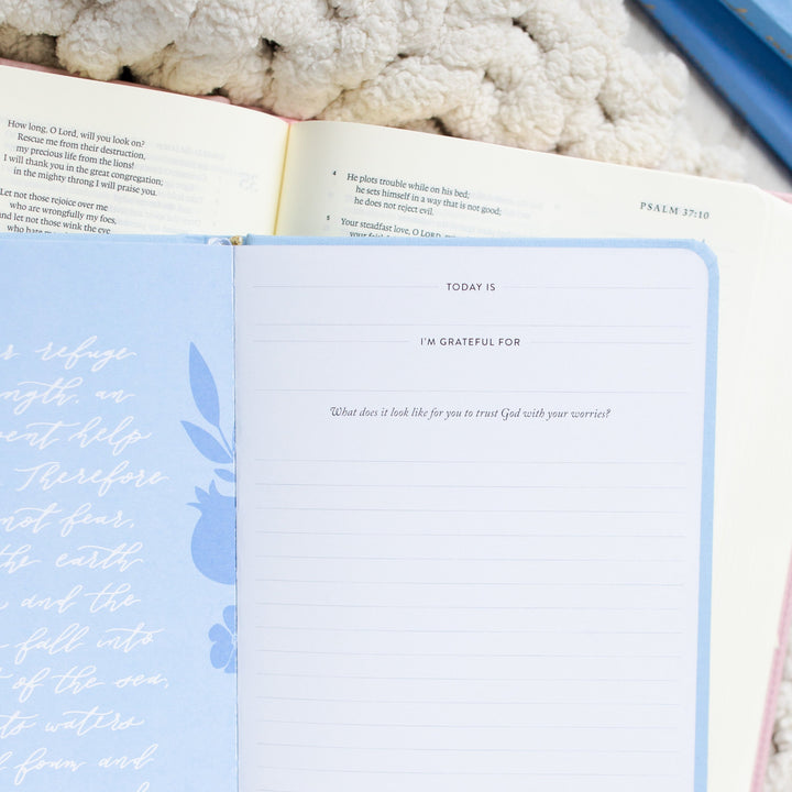 Write the Word® | Psalms Boxed Set