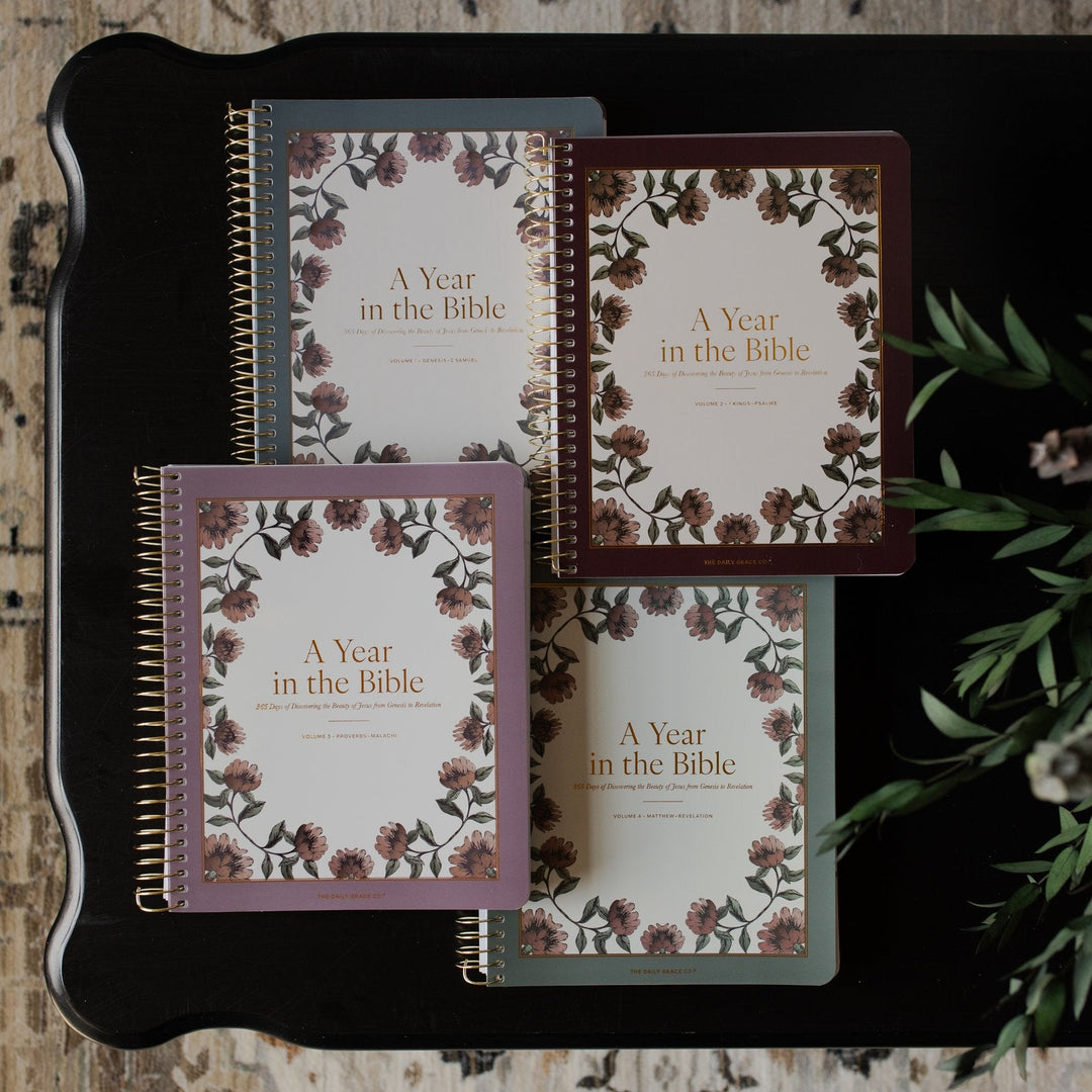 4 Volume set of A Year in the Bible on a black wooden table
