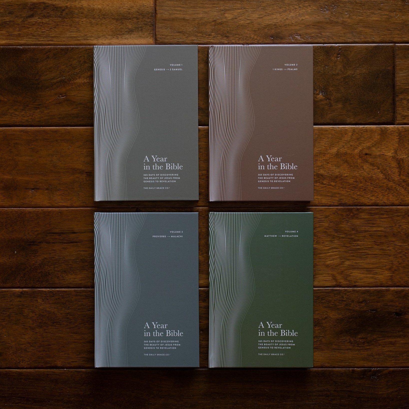 A Year in the Bible Hardcover Bundle