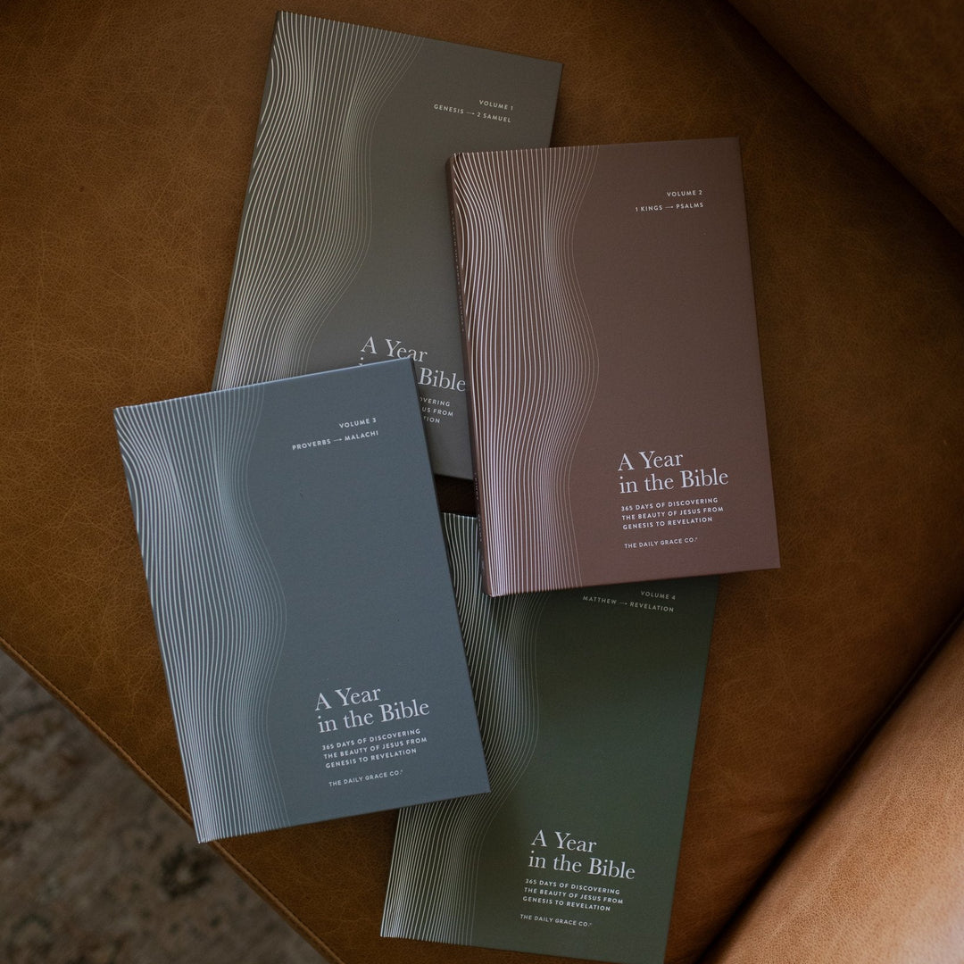 A 4 Volume set of A Year in the Bible Men's Studies on a leather couch