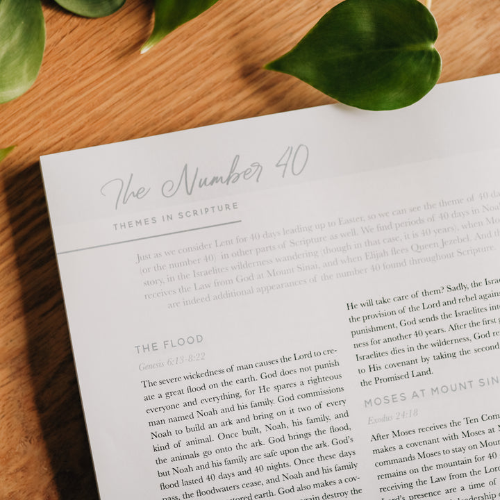 Retired - 40 Days with Jesus Study