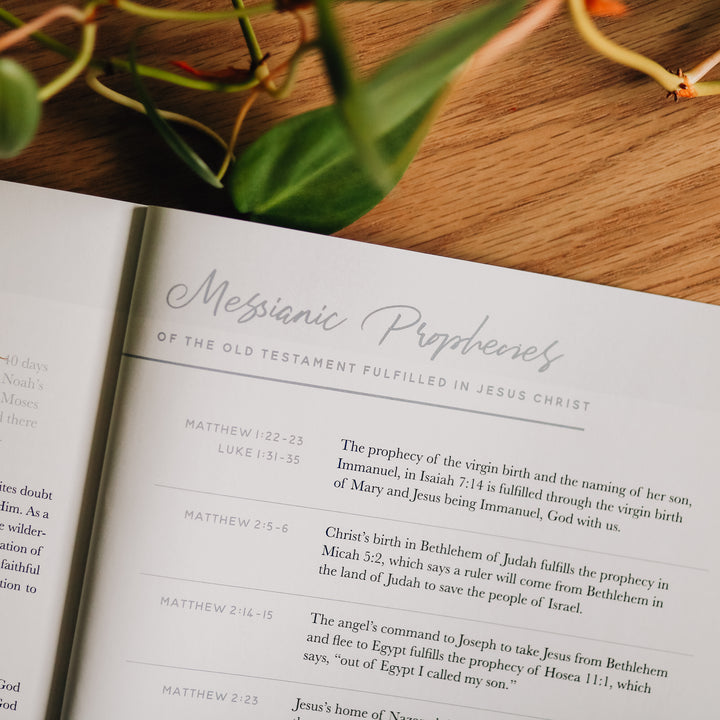 Retired - 40 Days with Jesus Study