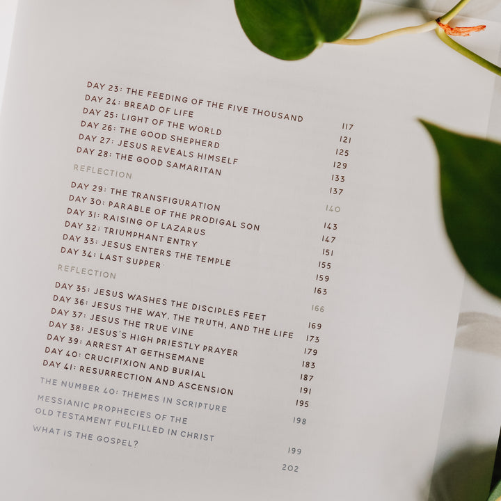 Retired - 40 Days with Jesus Study