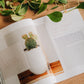 40 Days with Jesus Study
