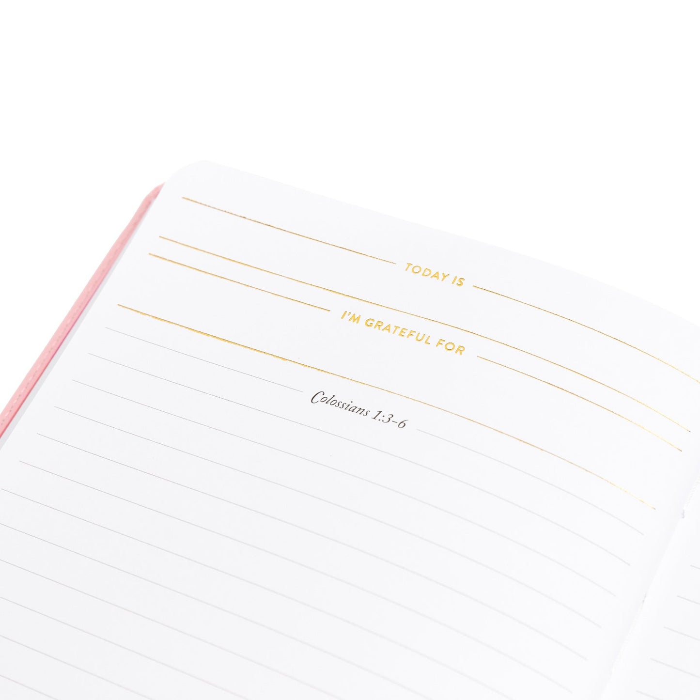 Write The Word® Journal | Cultivate Love