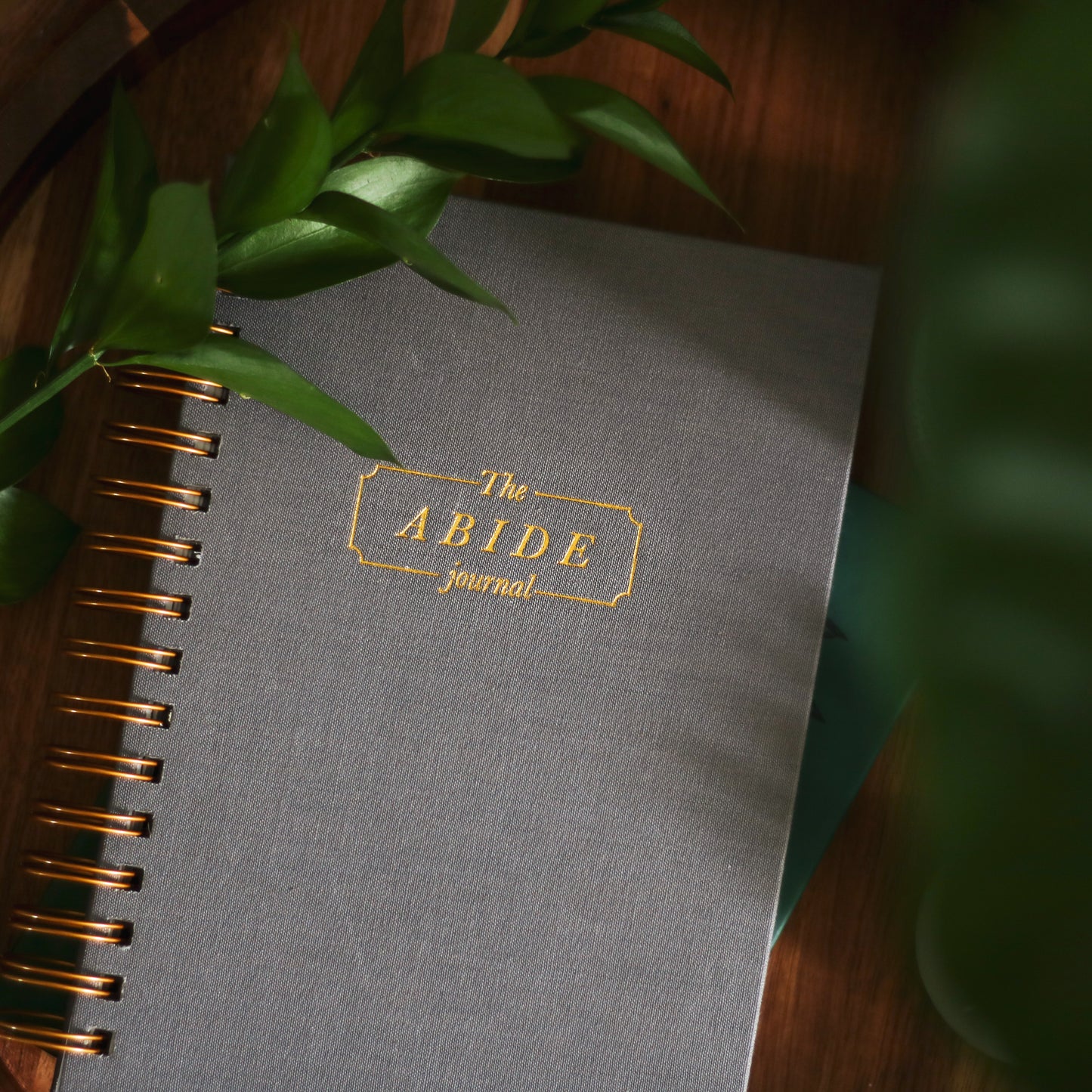 Abide Journal