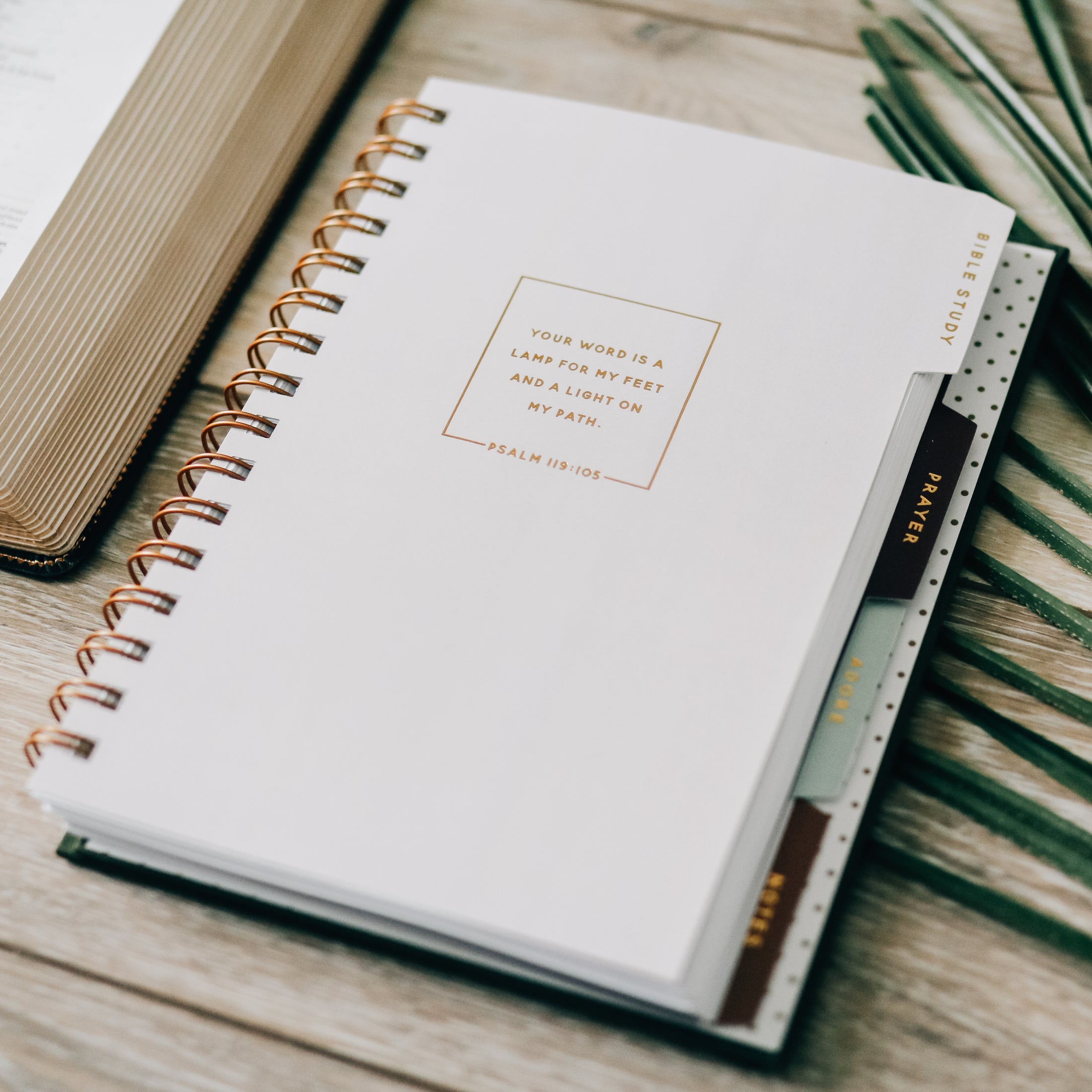 Abide Journal Jewel Tone The Daily Grace Co.