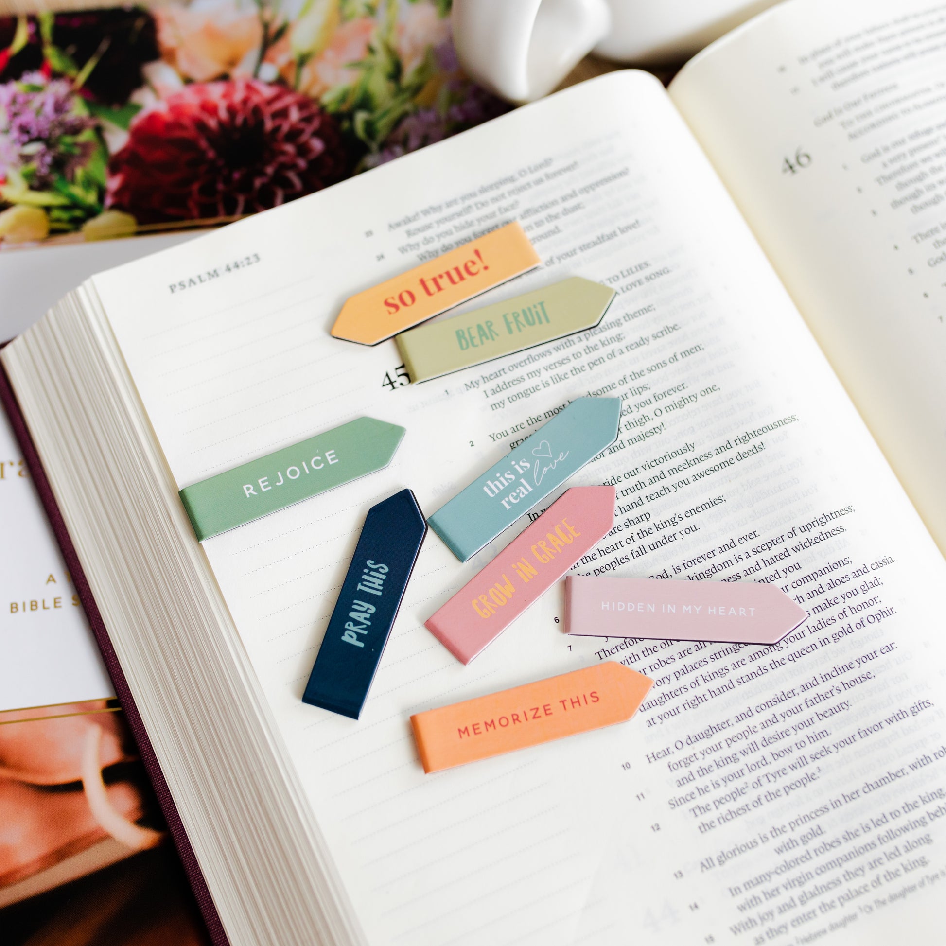 Almond Blossom Bible Stickies Set – The Daily Grace Co.