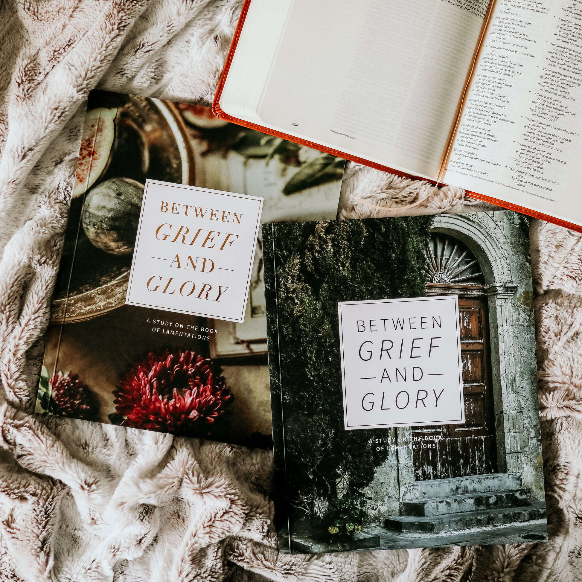 Sackcloth for Grieving – Linda's Bible Study