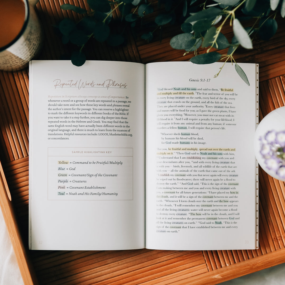 Slightly Imperfect - Bible Highlighting Guide