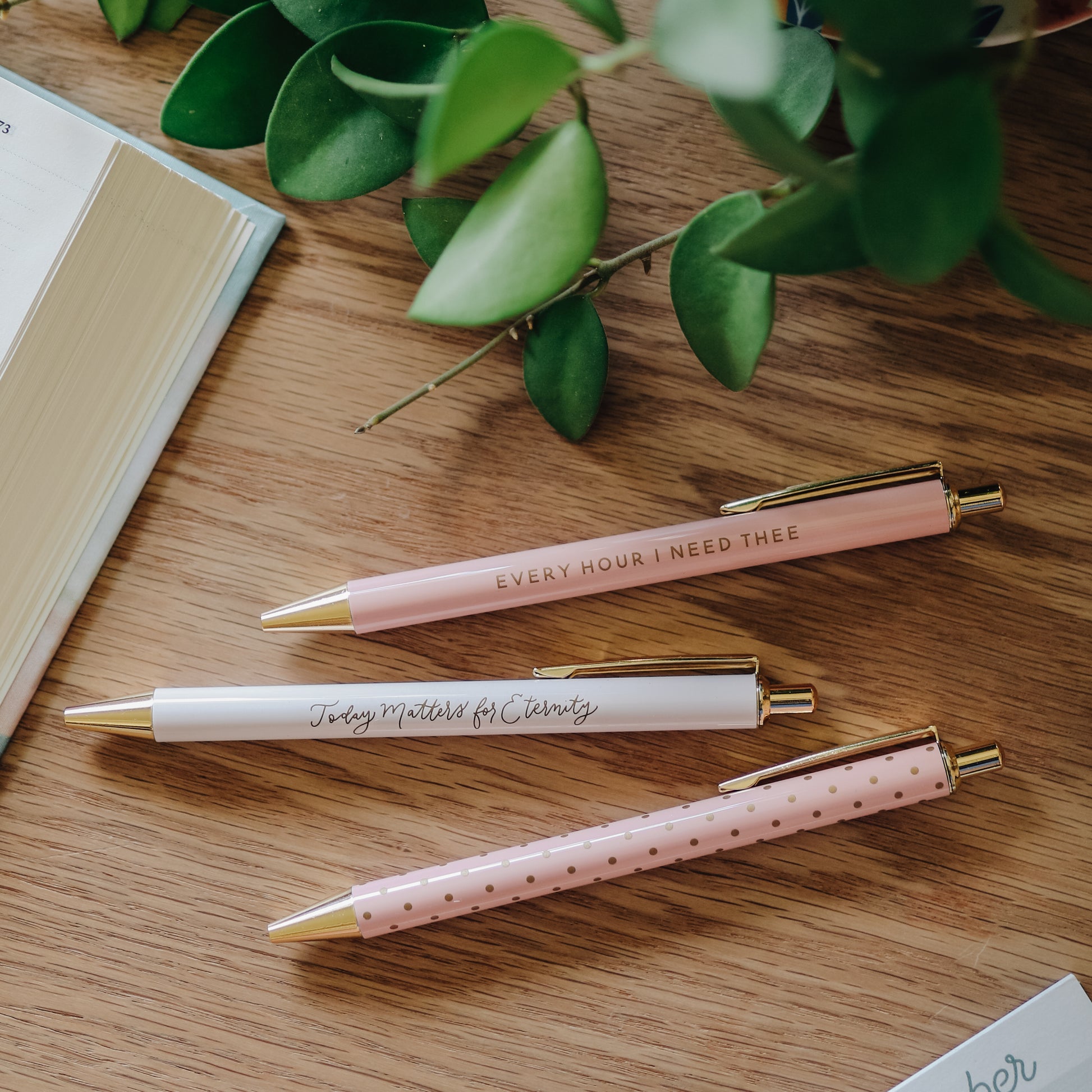 Blush Pen Set – The Daily Grace Co.