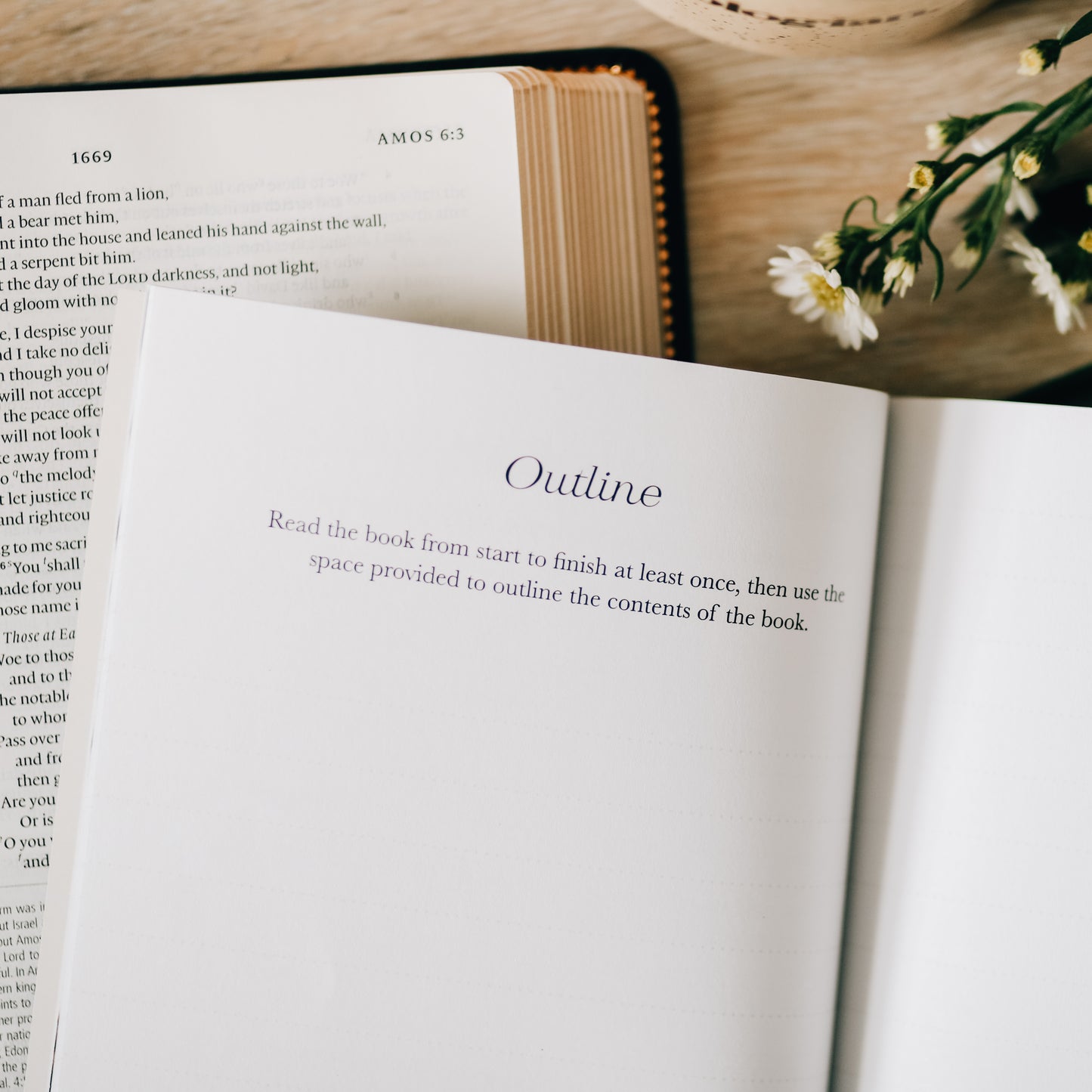 Book by Book | A Bible Study Companion