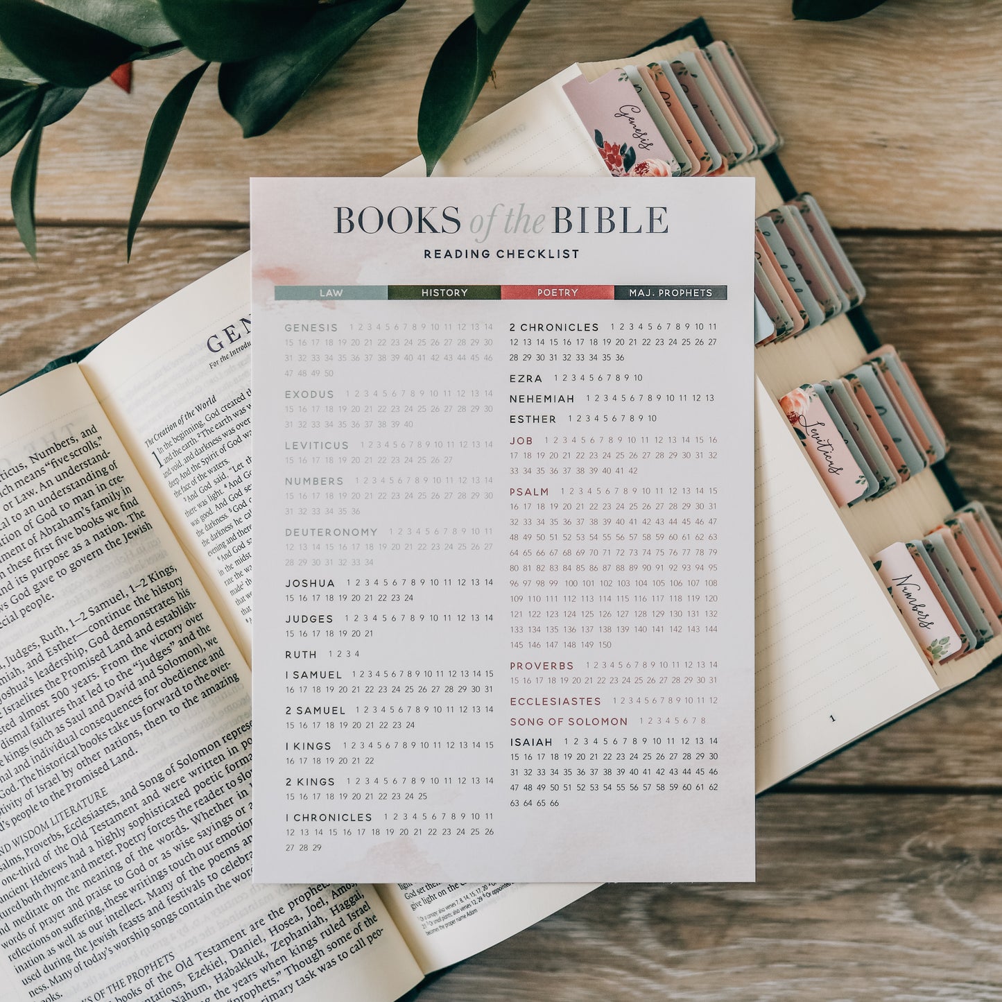 Books of the Bible Reading Checklist