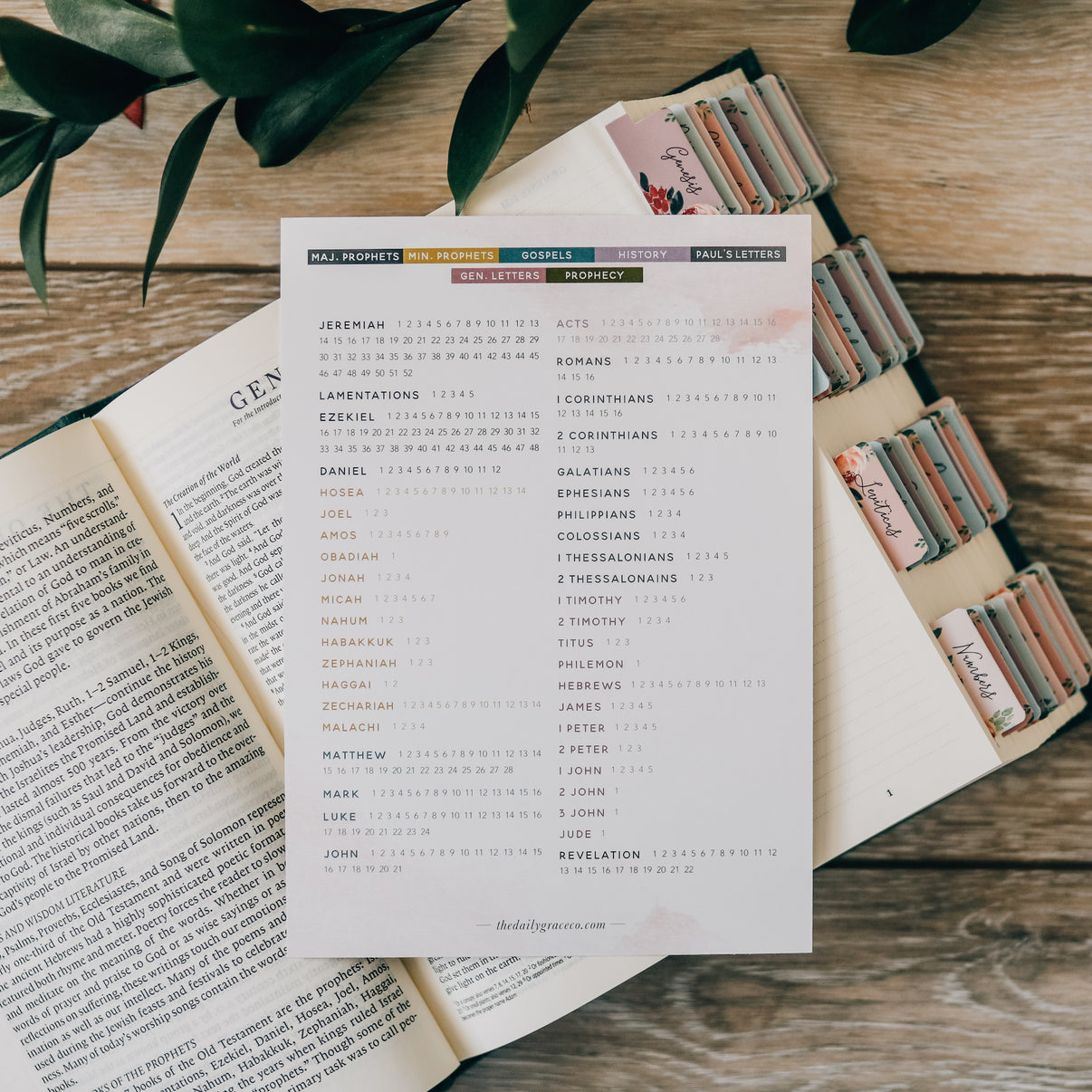 Books of the Bible Reading Checklist – The Daily Grace Co.