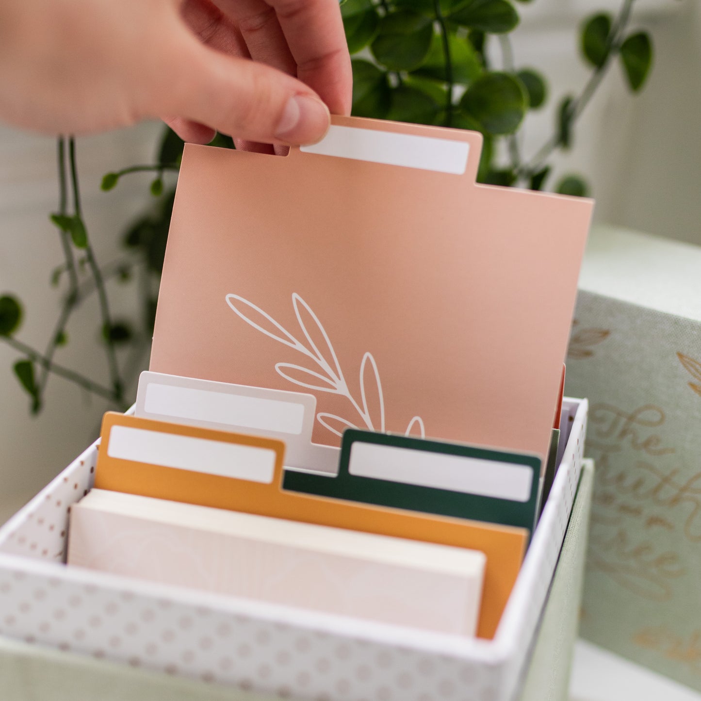 Set Free Verse Card Box