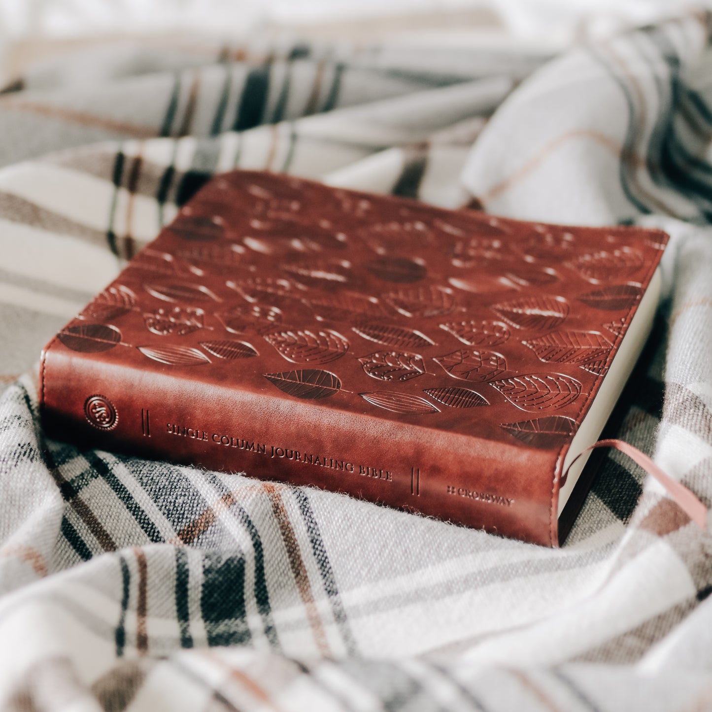 ESV Single Column Journaling Bible - Chestnut Leaves