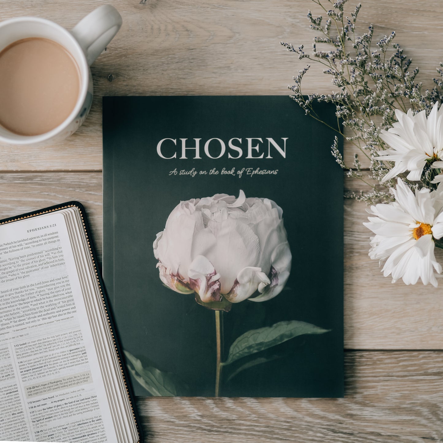 Chosen | Ephesians Study