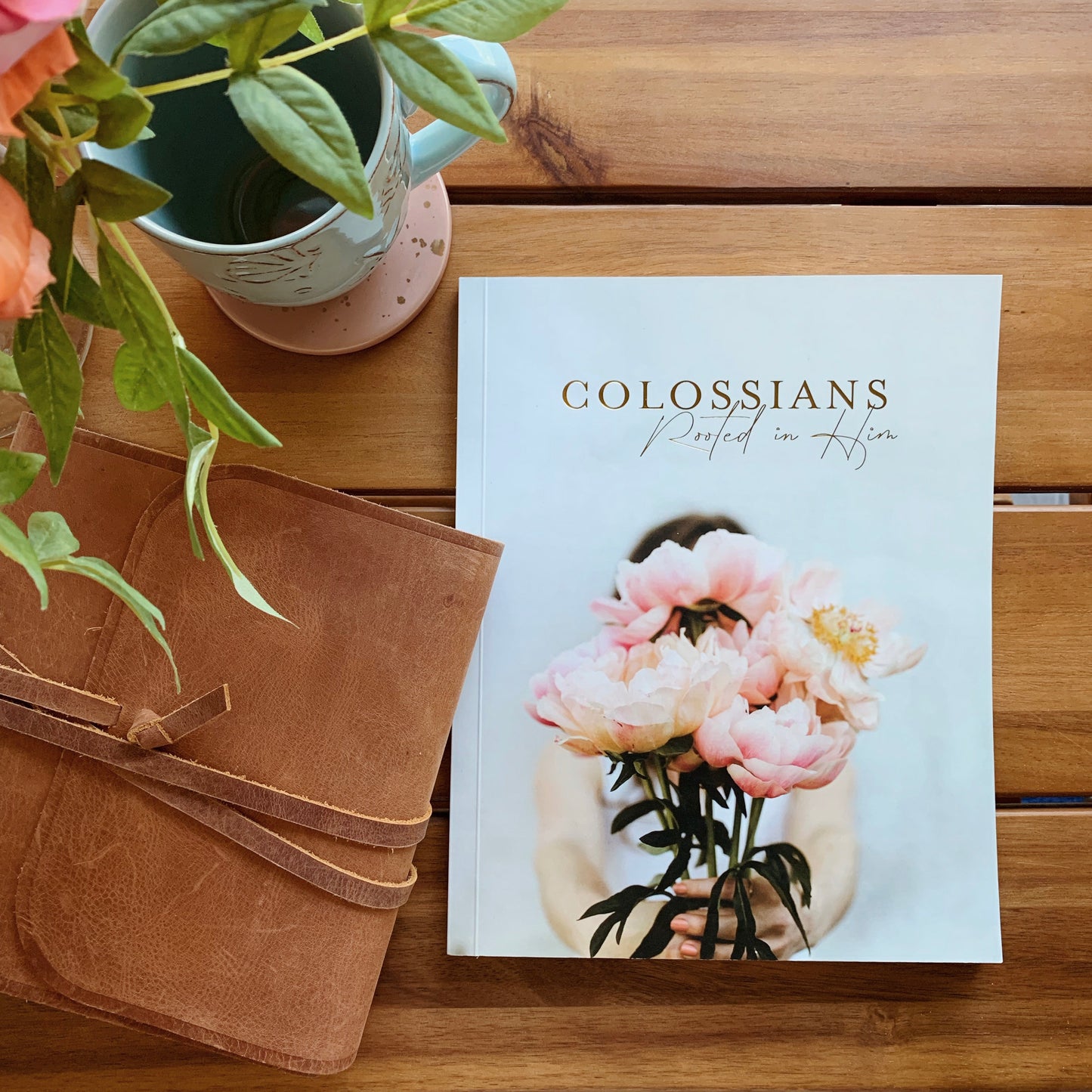 Colossians | Rooted in Him