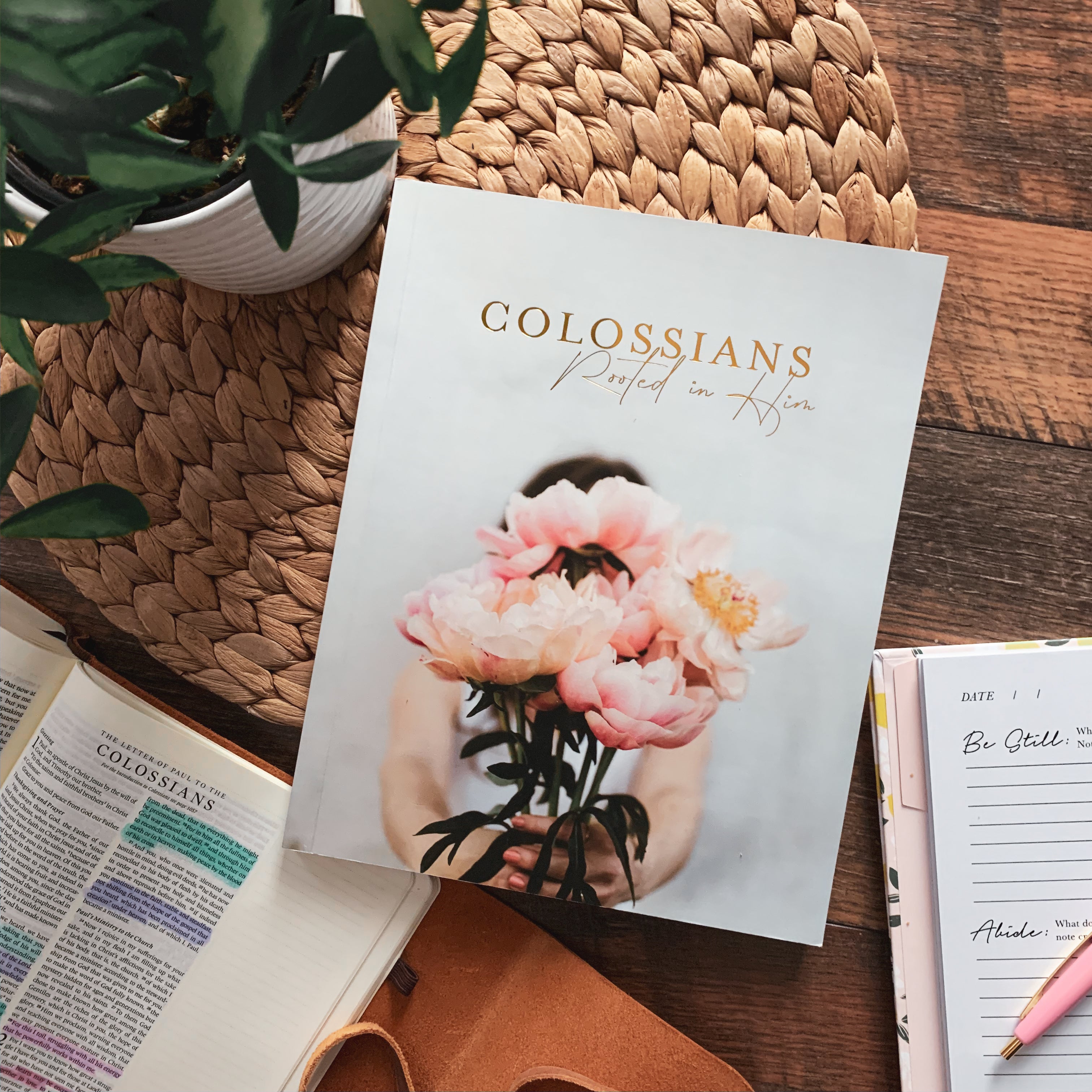 Colossians | Rooted in Him – The Daily Grace Co.